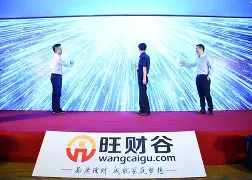 旺财谷怎么样(谷朊粉价格多少钱一斤)