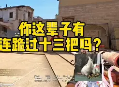 博赢财富怎么样(博赢天下公司怎么样)