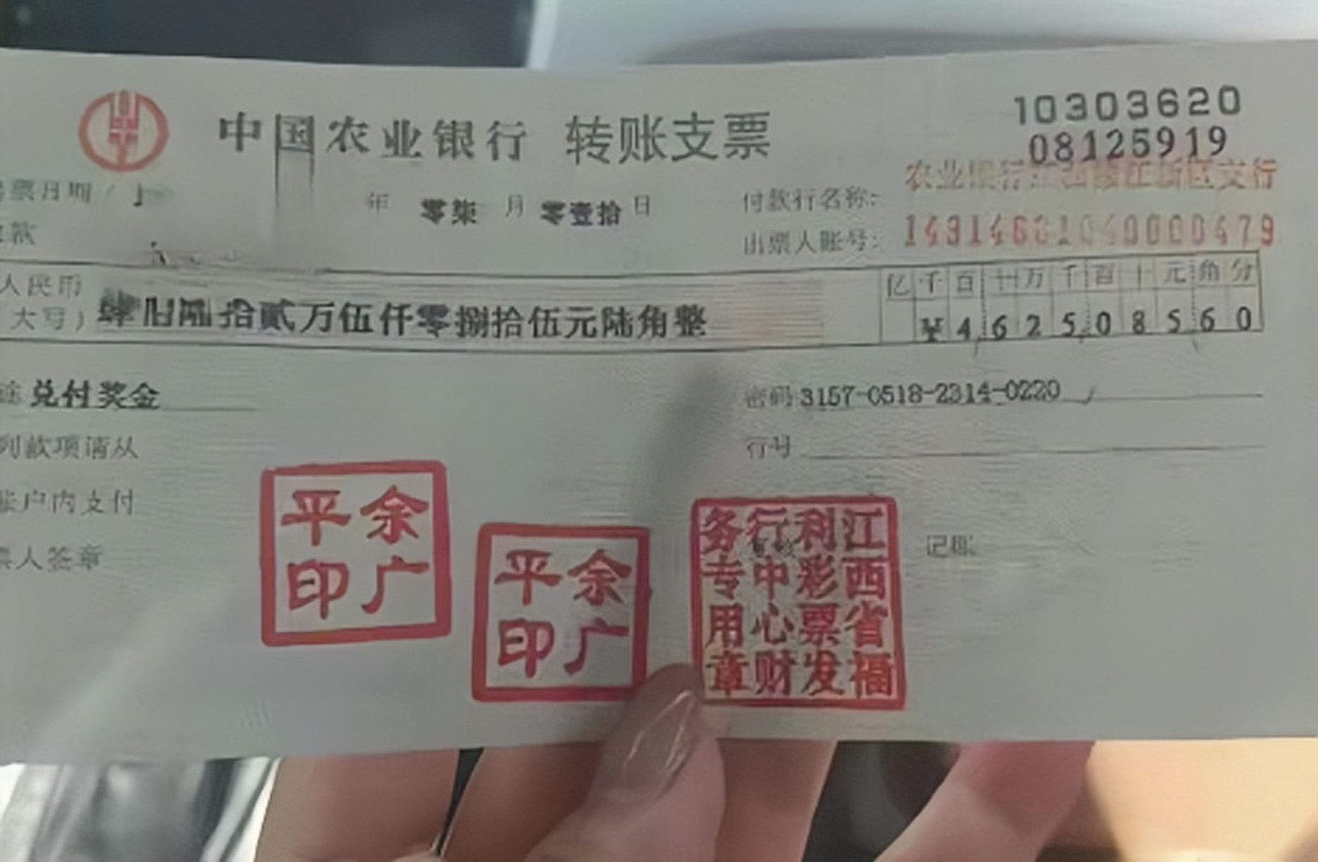 支票上11日怎么写(支票怎样填写11月11日)