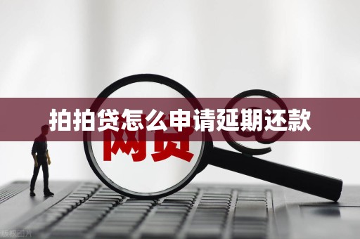 拍拍贷怎么提前还款吗(拍拍贷提前还款怎么算利息)