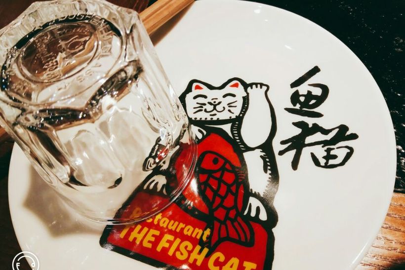 鱼猫金服怎么样的(北京鱼猫猫科技有限公司)