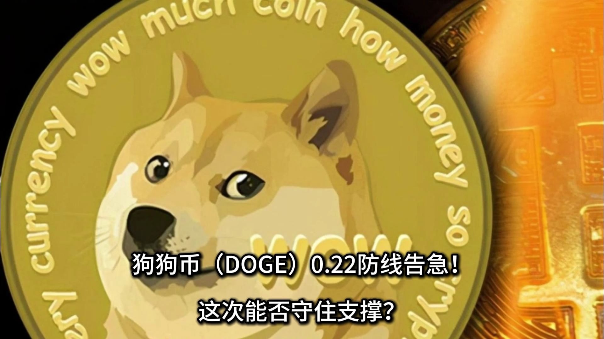 dogecoin钱包(dogecoin wallet钱包)