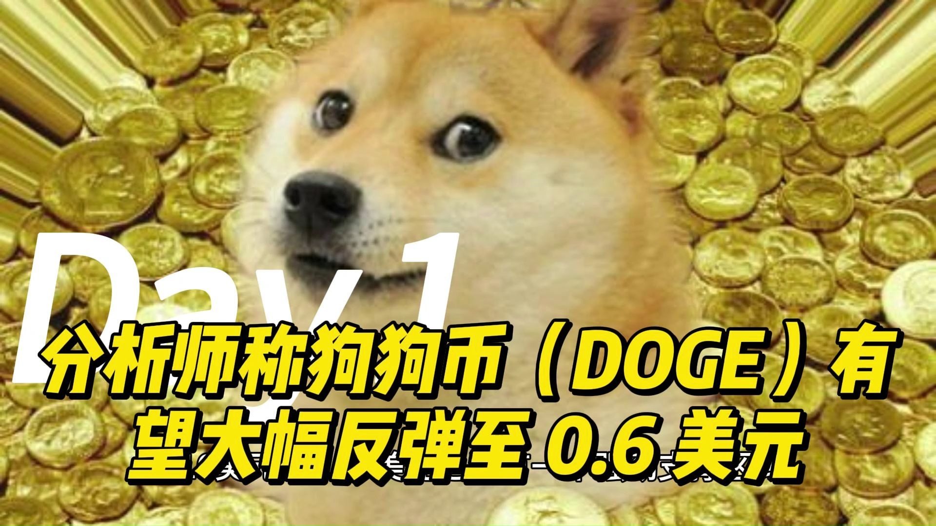 doge吧(dogeball)