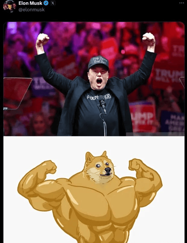 doge网(doge网交易平台官网下载中国)