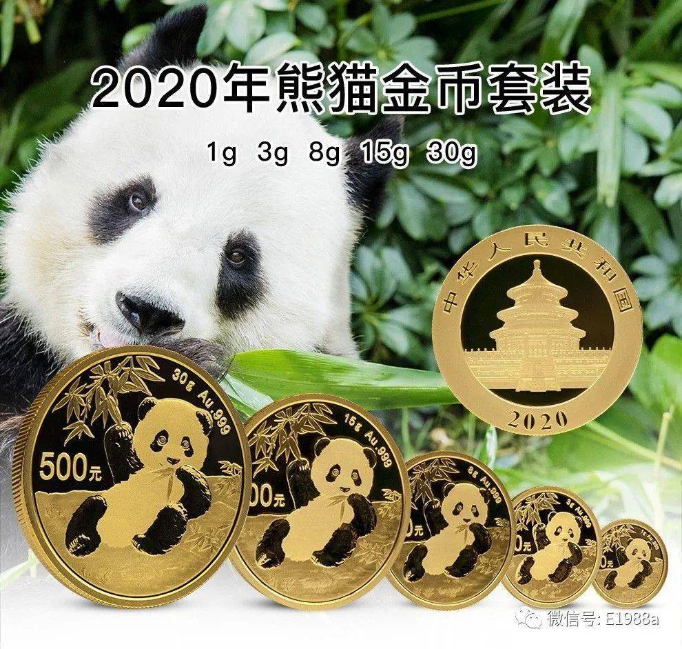 熊猫金服怎么样(熊猫金融账号是什么)