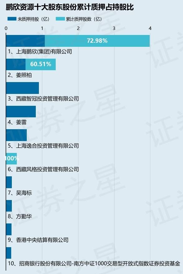 上海鹏欣集团怎么样(上海鹏欣集团有几个子公司)