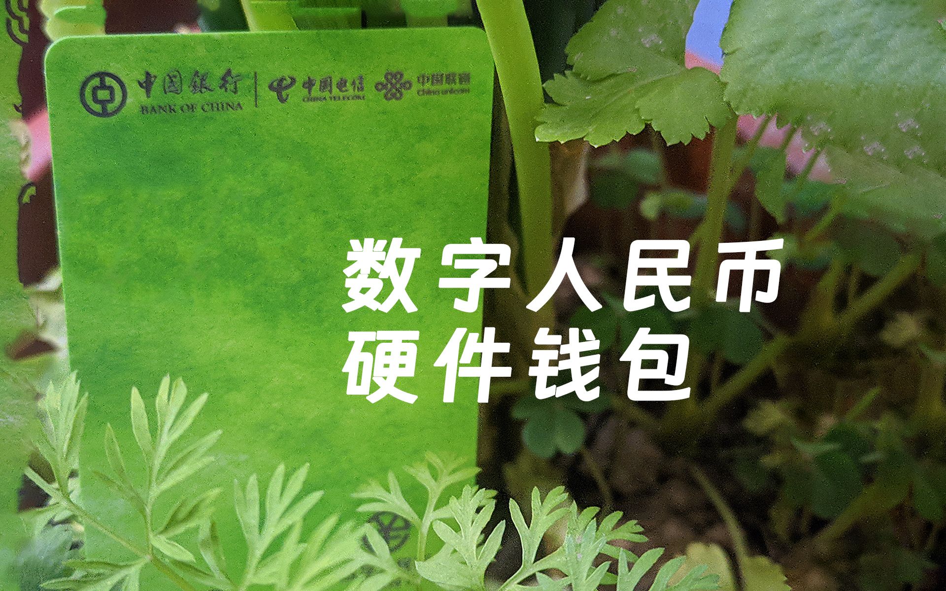数字人民币钱包app官方下载(数字人民币钱包app官方下载链接)