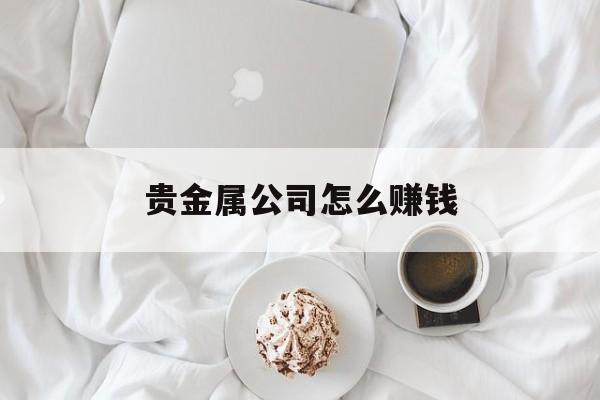 贵金属公司怎么赚钱(贵金属如何赚钱)