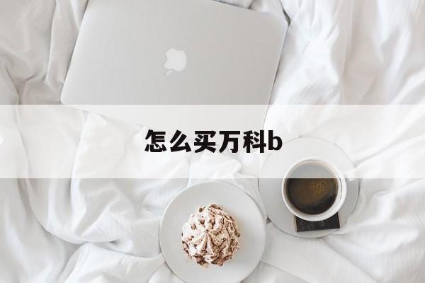 怎么买万科b(在万科买房子怎样便宜)