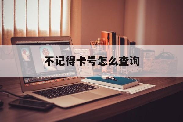 不记得卡号怎么查询(忘了自己卡号怎么查)