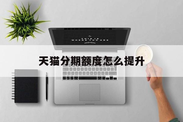 天猫分期额度怎么提升(天猫分期怎么提前还款)