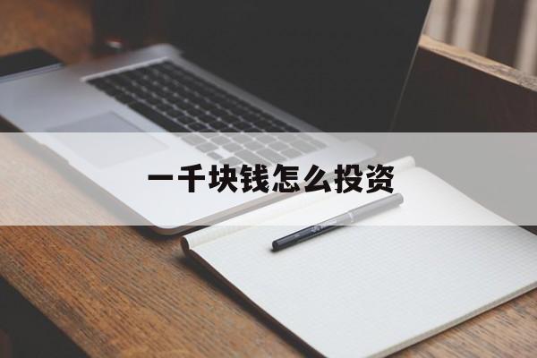 一千块钱怎么投资(一千元钱可以投资什么)